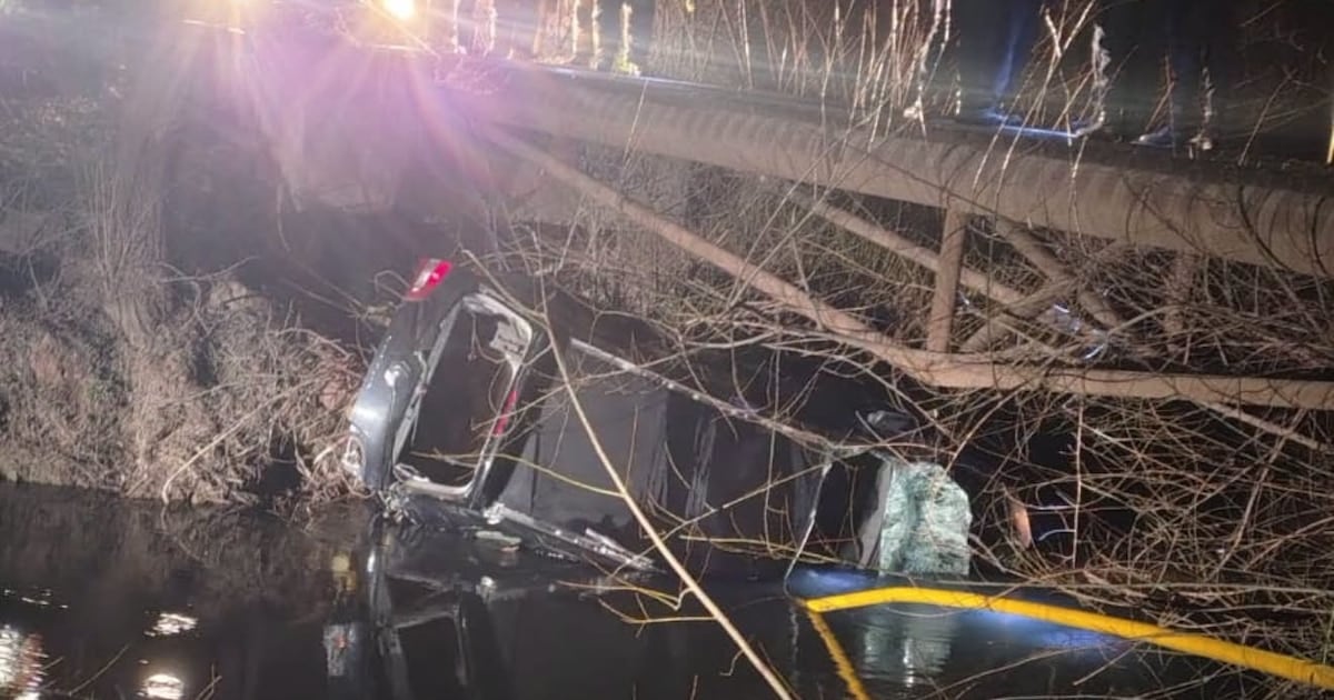 Operativo de búsqueda en Fernández Oro: rastrillan tres kilómetros de un canal para hallar a un niño de cuatro años