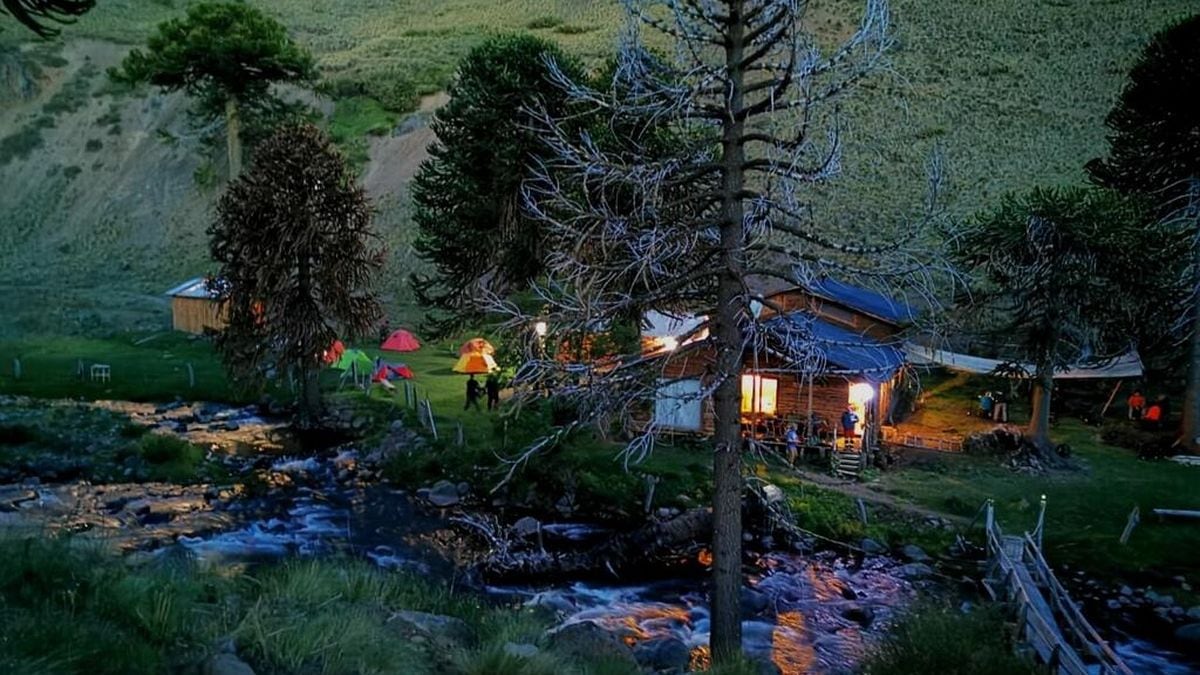 Una reserva de la Patagonia chilena abre la puerta a voluntarios para 2026: cómo anotarse y qué ofrece a cambio