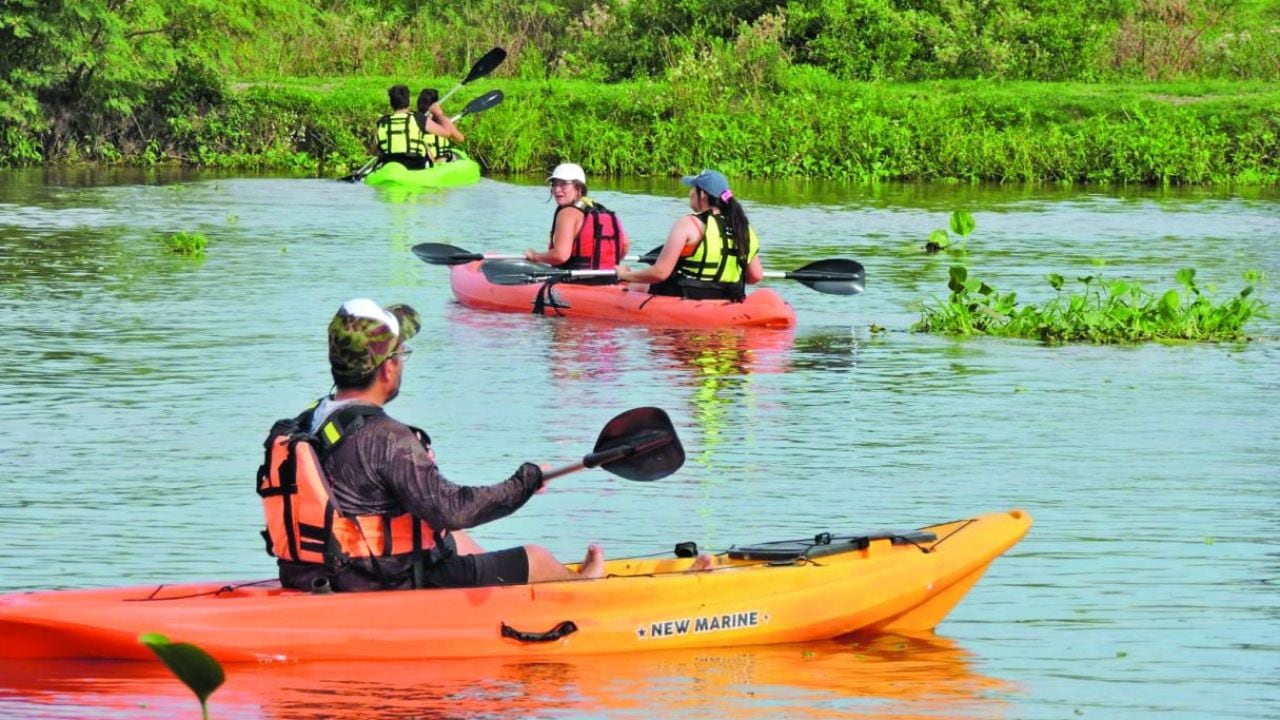 Remar contra el horizonte rojo: tres maneras de conocer la laguna Setúbal desde el kayak