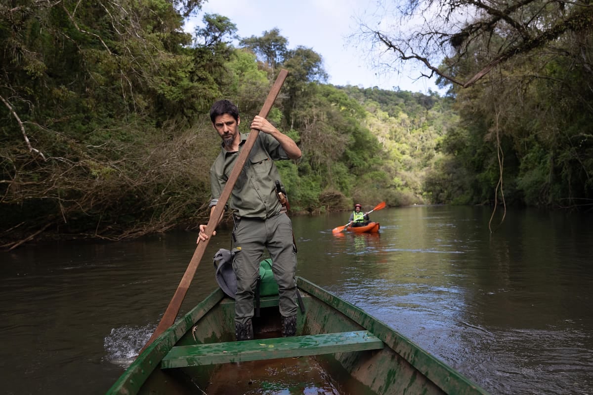 Margay, una reserva de Misiones para caminar el monte y remar el arroyo