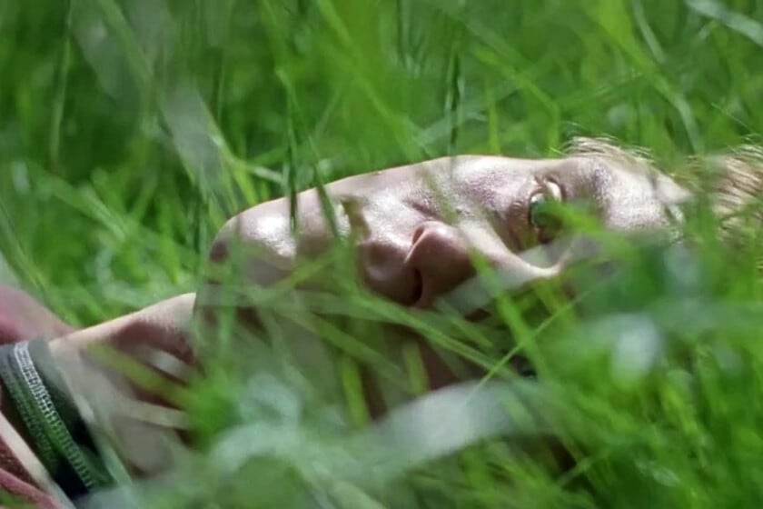 Tres vidas, un árbol y la respiración lenta del cine de Ildikó Enyedi