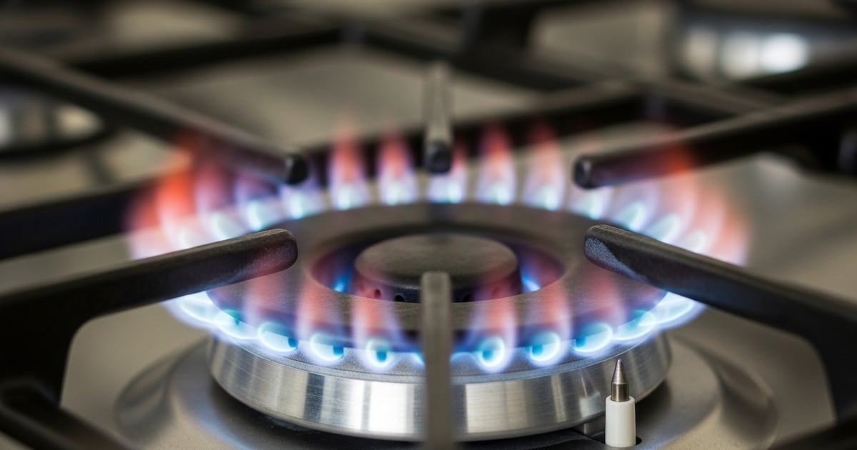 Servicios públicos en el AMBA: la factura eléctrica sin subsidio duplicó a la subsidiada en agosto