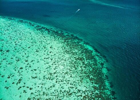 San Pedro, la puerta caribeña del Cayo Ambergris: cómo llegar y qué hacer frente al segundo arrecife más grande del mundo