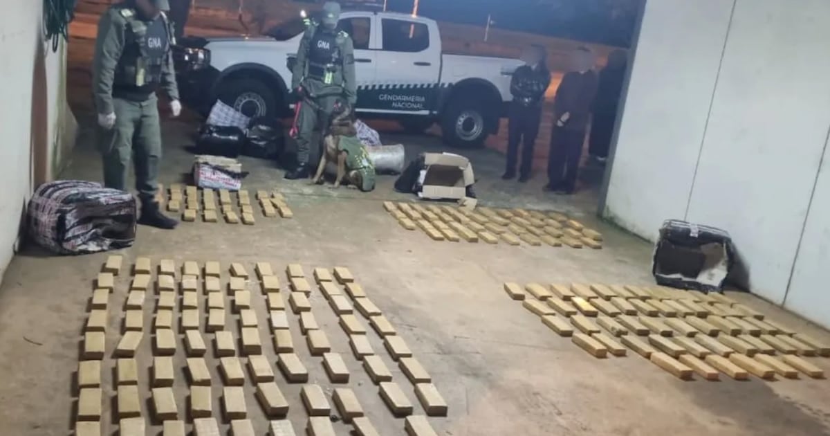 Gendarmería decomisó más de 142 kilos de marihuana en un colectivo que se dirigía a Buenos Aires