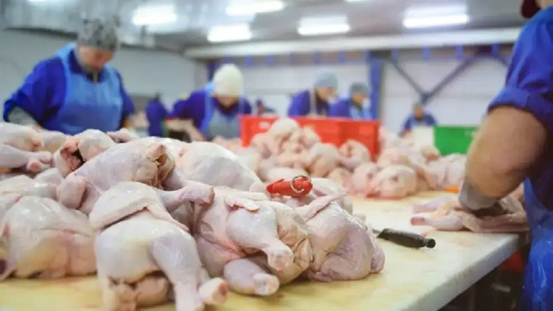 El kilo de carne vacuna pasó a equivaler a 3,6 kilos de pollo entero en el promedio de los hogares