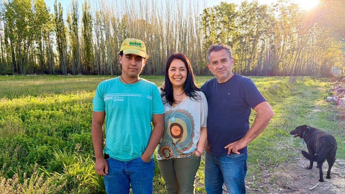 Una herencia de tierra que se sostiene con sueldos, alfalfa y un tractor que a veces no arranca