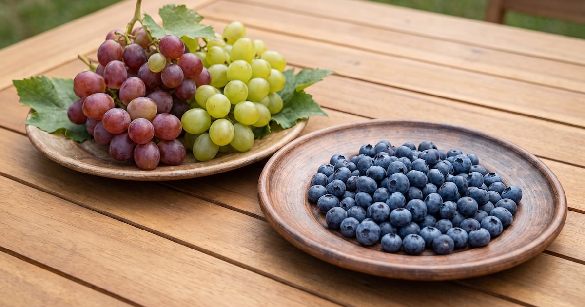Arándanos contra uvas: la pulseada silenciosa que se libra en el plato y termina en la sangre