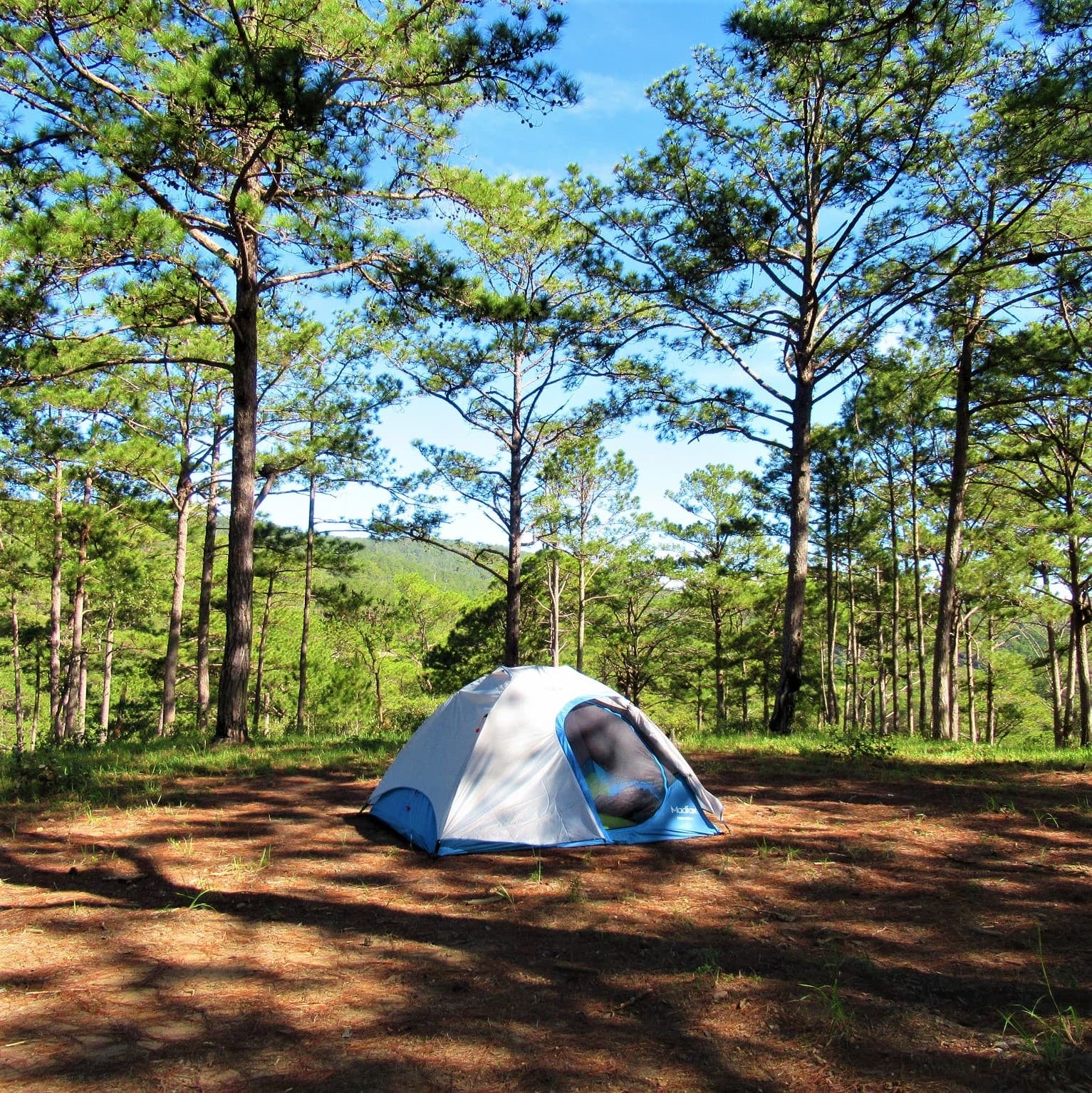 A 1.875 kilómetros del glaciar Perito Moreno, Huttopia instala su primer camping boutique en los pinos de Mar Azul